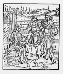 Curare un morso di serpente, da 